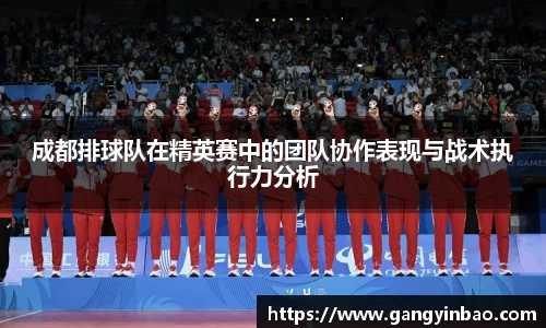 成都排球队在精英赛中的团队协作表现与战术执行力分析