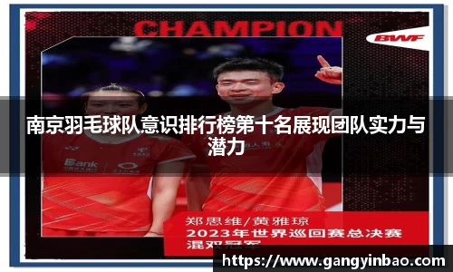 南京羽毛球队意识排行榜第十名展现团队实力与潜力
